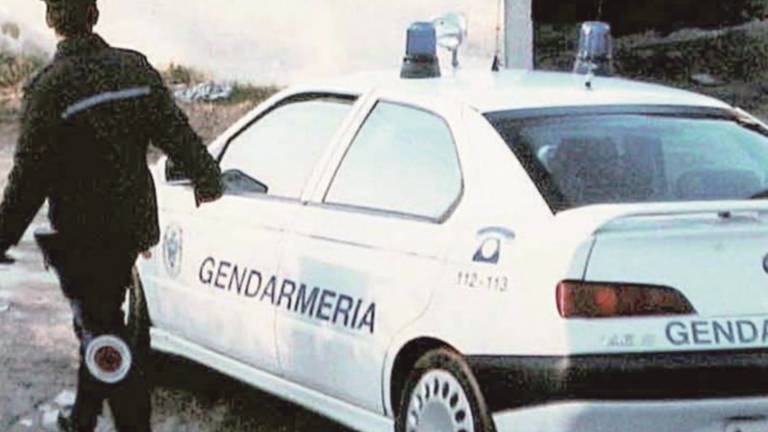Furti, raid nella notte Furti, raid nella notte