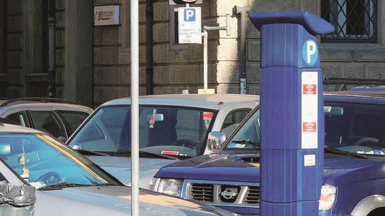 Strisce blu, per fare le multe serve un'ordinanza Strisce blu, per fare le multe serve un'ordinanza