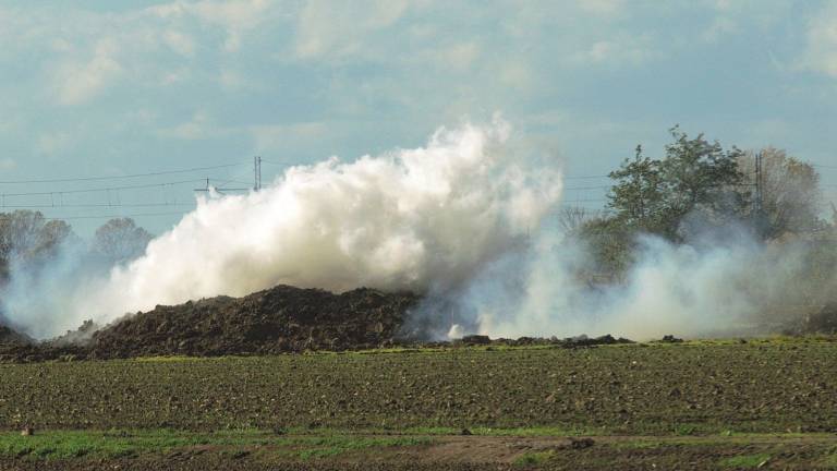 Agricoltore trova ordigno bellico a Conventello; artificieri sul posto Agricoltore trova ordigno bellico a Conventello; artificieri sul posto