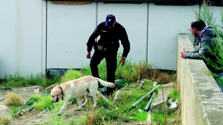 Caccia al killer, i carabinieri a Casalborsetti con i cani Caccia al killer, i carabinieri a Casalborsetti con i cani