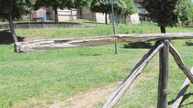 Parco pericoloso, ferita una bimba Parco pericoloso, ferita una bimba