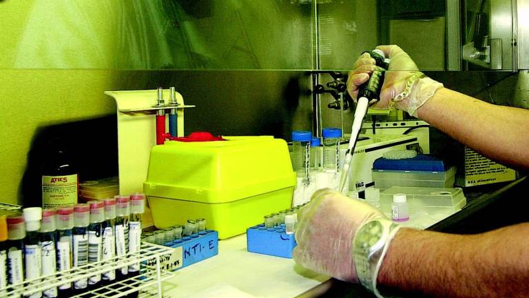 E' stata la meningite a uccidere il 21enne E' stata la meningite a uccidere il 21enne