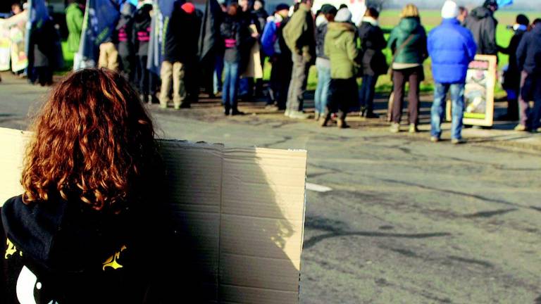 Daini, nuova protesta degli animalisti Daini, nuova protesta degli animalisti