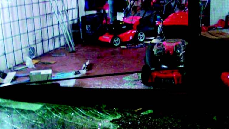 Insegue i ladri e recupera il bottino Insegue i ladri e recupera il bottino