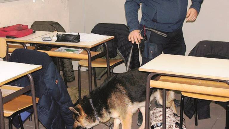 Droga in classe, controlli dei carabinieri in quattro istituti superiori Droga in classe, controlli dei carabinieri in quattro istituti superiori
