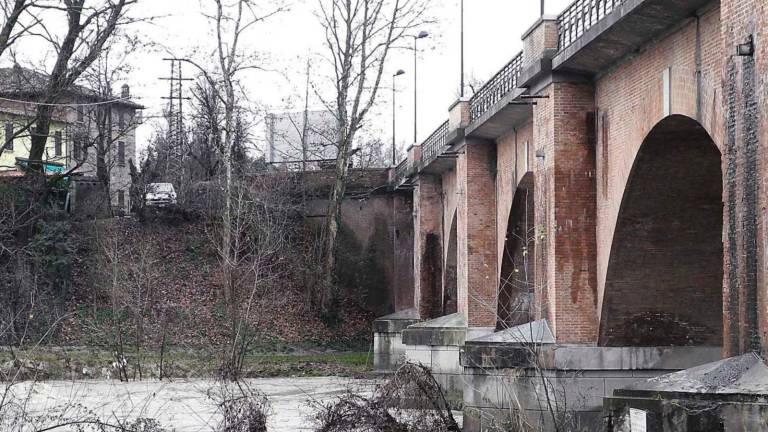 Legna, la Regione consente la raccolta Legna, la Regione consente la raccolta