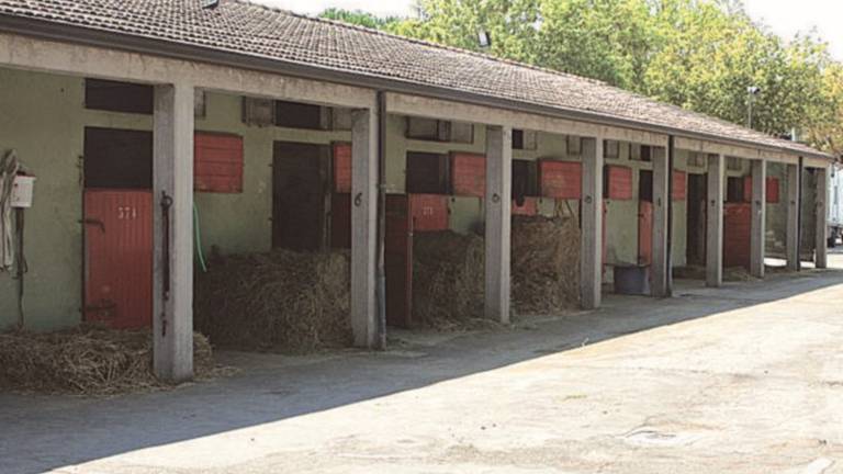 Furto alle scuderie dell'Ippodromo Furto alle scuderie dell'Ippodromo