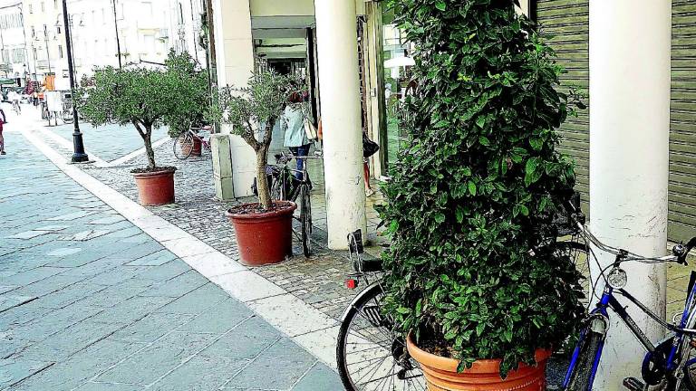 Via tutte le piante da piazza Tre Martiri Via tutte le piante da piazza Tre Martiri