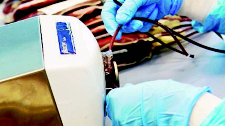 Donazione di sangue: appello dell'Ausl prima di partire per le vacanze Donazione di sangue: appello dell'Ausl prima di partire per le vacanze
