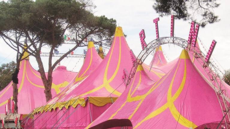 Cade al circo, muore a 19 anni Cade al circo, muore a 19 anni