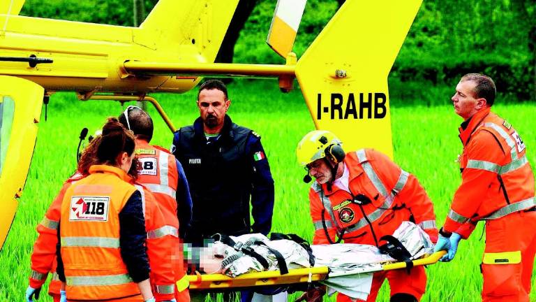 Fagiano fa strage di ciclisti: uno grave Fagiano fa strage di ciclisti: uno grave