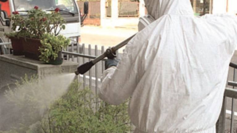 Sospetto caso di arbovirosi in centro Sospetto caso di arbovirosi in centro