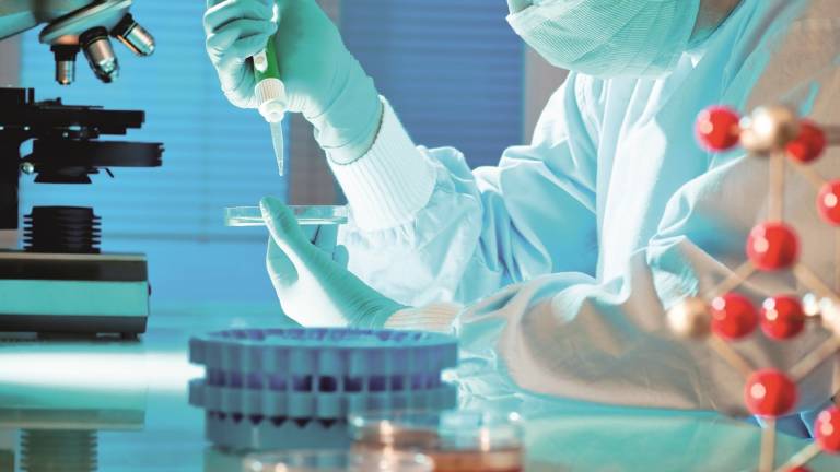 Nel Forlivese tesoro fatto da archivi e dna Nel Forlivese tesoro fatto da archivi e dna