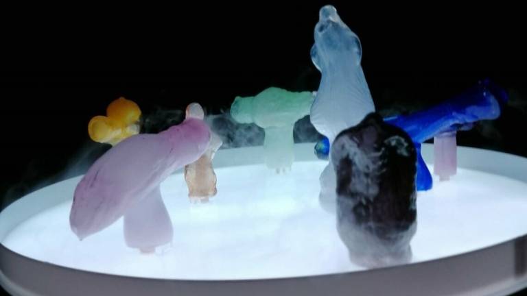 Arte, torna la Biennale dei giovani a San Marino Arte, torna la Biennale dei giovani a San Marino