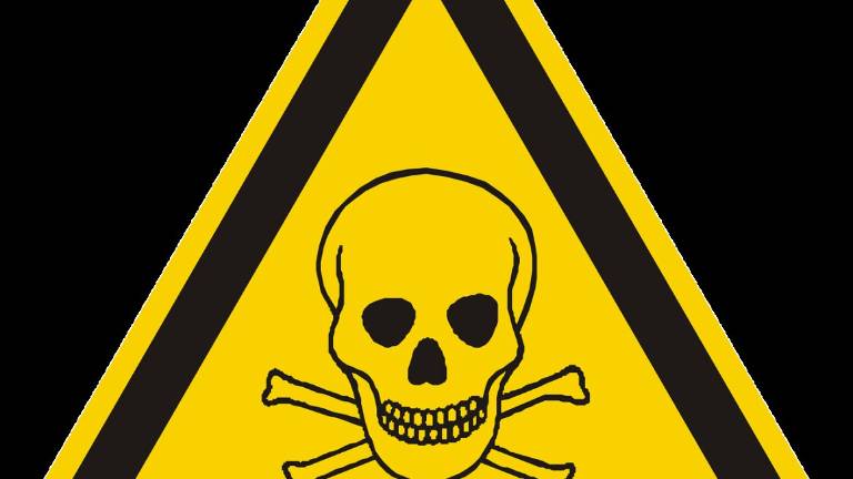 Faenza, sparge veleno per topi in area verde: 64enne denunciato Faenza, sparge veleno per topi in area verde: 64enne denunciato