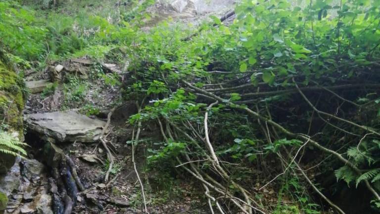 Dramma in Campigna, 69enne muore in un dirupo cercando funghi Dramma in Campigna, 69enne muore in un dirupo cercando funghi