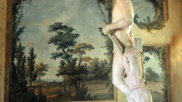 Bologna, i musei civici chiedono una mano ai cittadini Bologna, i musei civici chiedono una mano ai cittadini