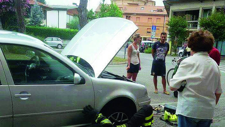 Faenza, gatto nel cofano per 200 km. Salvato all'autogrill Faenza, gatto nel cofano per 200 km. Salvato all'autogrill