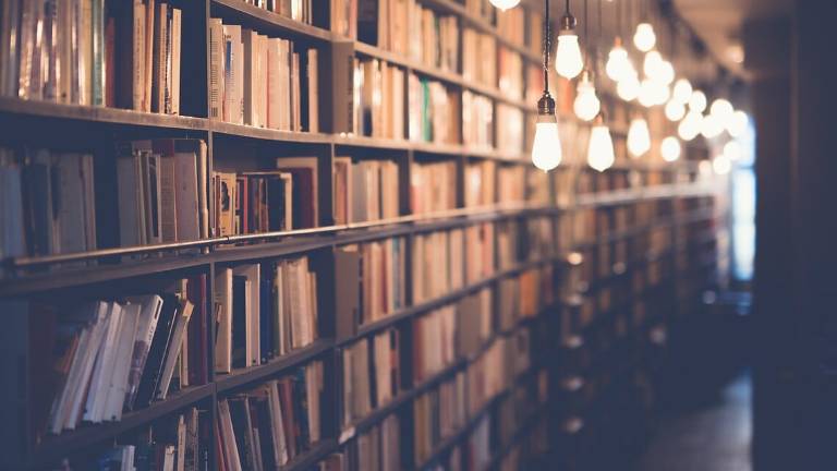Imola, le biblioteche ampliano i loro servizi Imola, le biblioteche ampliano i loro servizi