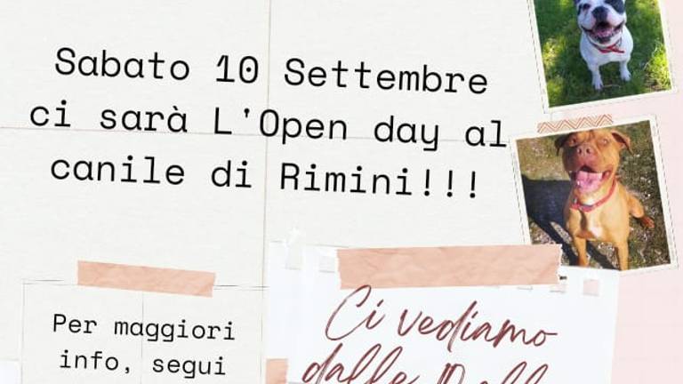 Un diario scolastico per sostenere il canile di Rimini Un diario scolastico per sostenere il canile di Rimini
