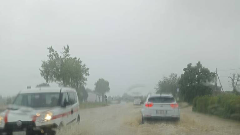 Frane, smottamenti e allagamenti a Meldola, Civitella, Predappio, Santa Sofia e Modigliana Frane, smottamenti e allagamenti a Meldola, Civitella, Predappio, Santa Sofia e Modigliana