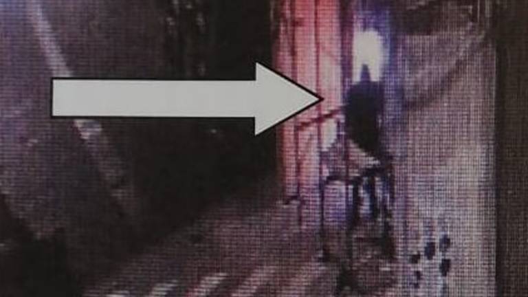 Faenza, tenta la spaccata dal tabaccaio con una mazza: denunciato 31enne Faenza, tenta la spaccata dal tabaccaio con una mazza: denunciato 31enne