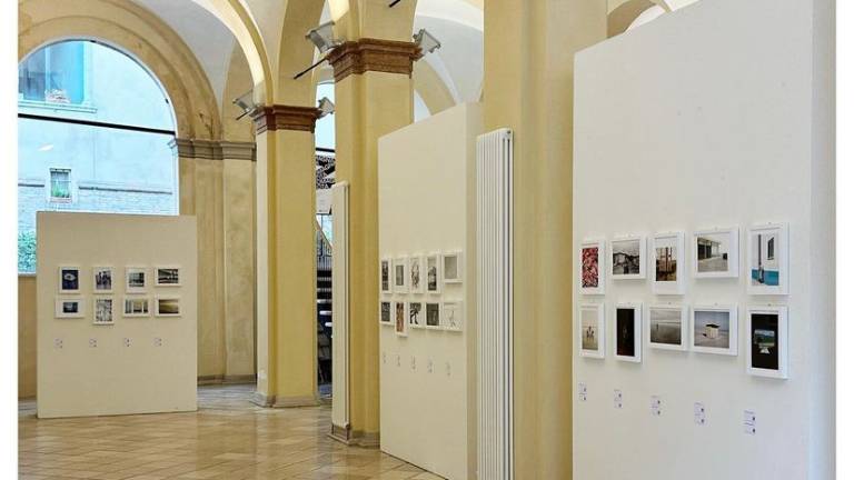 Cesena, Romagna Tin Bota: esposizione benefica fino al 3 settembre alla Galleria ex Pescheria Cesena, Romagna Tin Bota: esposizione benefica fino al 3 settembre alla Galleria ex Pescheria