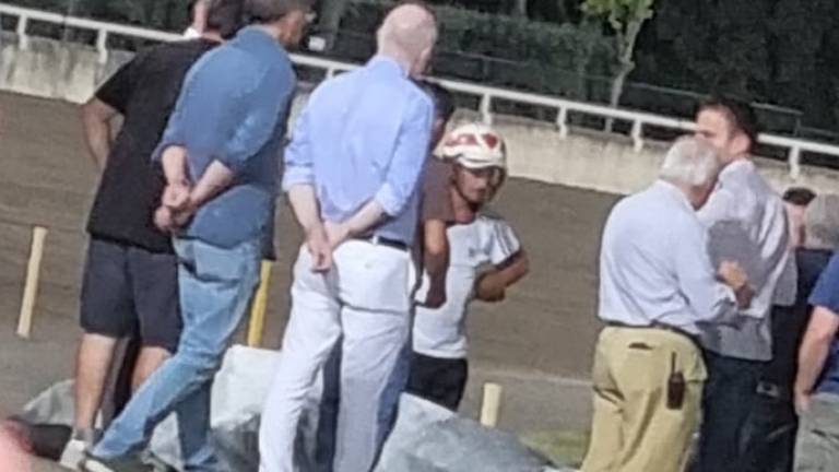 Cesena, cavalla muore in pista all'ippodromo Cesena, cavalla muore in pista all'ippodromo