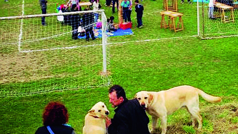 A Imola Senti chi abbaia, serata per cani e padroni A Imola Senti chi abbaia, serata per cani e padroni