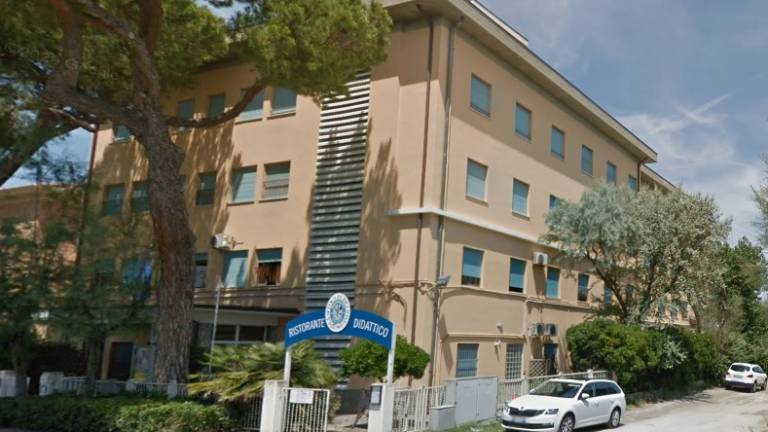 Riccione. Fondazione cetacea, il Comune trova un'altra sede Riccione. Fondazione cetacea, il Comune trova un'altra sede