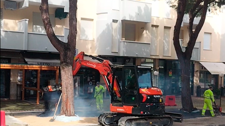 Esposti in procura per i pini di Lido di Savio: «Alberi danneggiati dalle prove di trazione» Esposti in procura per i pini di Lido di Savio: «Alberi danneggiati dalle prove di trazione»