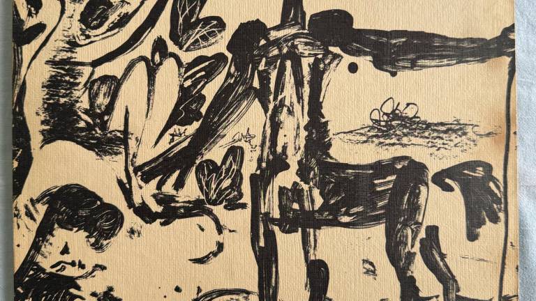 Rimini, da Picasso a Warhol: le cover d’artista dei grandi vinili in mostra - Gallery Rimini, da Picasso a Warhol: le cover d’artista dei grandi vinili in mostra - Gallery