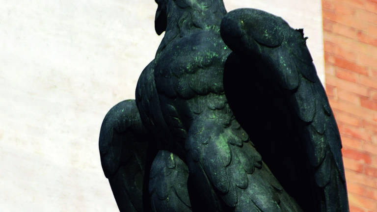 Forlì, falchi e corvi in piazza Saffi per contrastare i piccioni Forlì, falchi e corvi in piazza Saffi per contrastare i piccioni