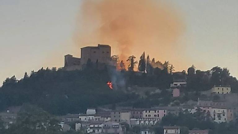 Bertinoro, incendio nella zona della Rocca Bertinoro, incendio nella zona della Rocca