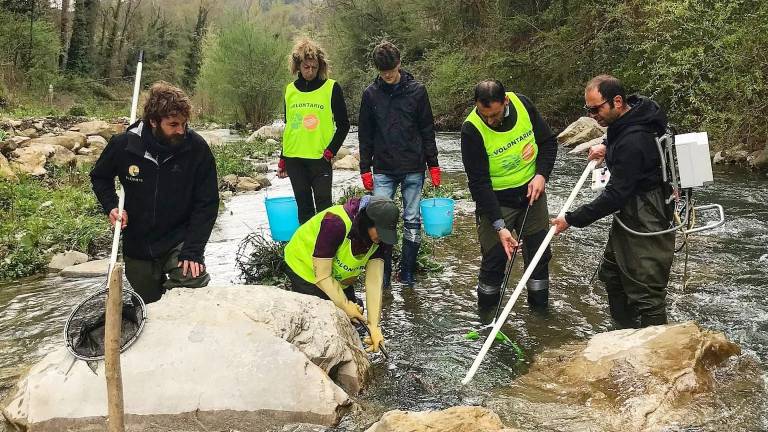 Servizio civile in Romagna: il Parco delle Foreste Casentinesi cerca 4 ragazzi Servizio civile in Romagna: il Parco delle Foreste Casentinesi cerca 4 ragazzi