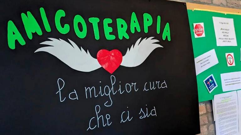 Donazione: “Amicoterapia” ora ha nuovi arredi per la sede di Gattolino Donazione: “Amicoterapia” ora ha nuovi arredi per la sede di Gattolino
