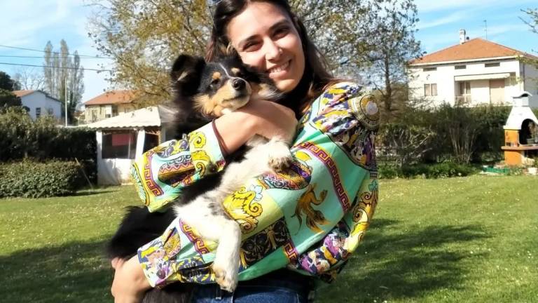 Rimini, al canile ci sono 57 inquilini Rimini, al canile ci sono 57 inquilini
