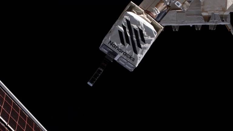 Imola, la Spacemind lancia nello spazio tre nanosatelliti italiani: in uno è incisa la Divina Commedia Imola, la Spacemind lancia nello spazio tre nanosatelliti italiani: in uno è incisa la Divina Commedia