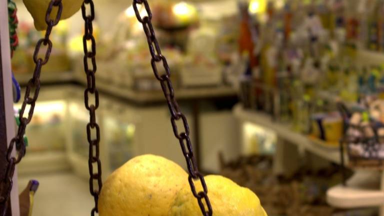 Forlì, il primo maggio torna la Fiera di San Pellegrino Forlì, il primo maggio torna la Fiera di San Pellegrino