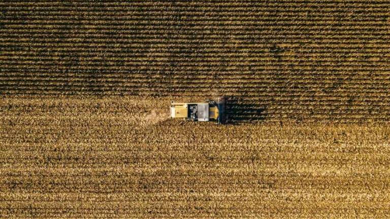 Affronte: il clima cambia, l'agricoltura soffre Affronte: il clima cambia, l'agricoltura soffre