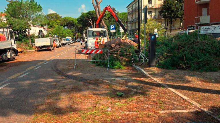 Milano Marittima. Concluso l’intervento di Protezione Civile dopo il maltempo Milano Marittima. Concluso l’intervento di Protezione Civile dopo il maltempo