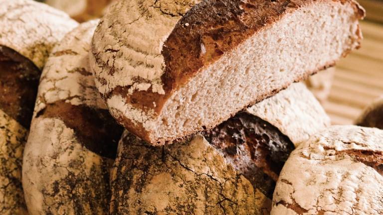 In Romagna distrutto il grano di 200 milioni di chili di pane: la stima di Coldiretti In Romagna distrutto il grano di 200 milioni di chili di pane: la stima di Coldiretti