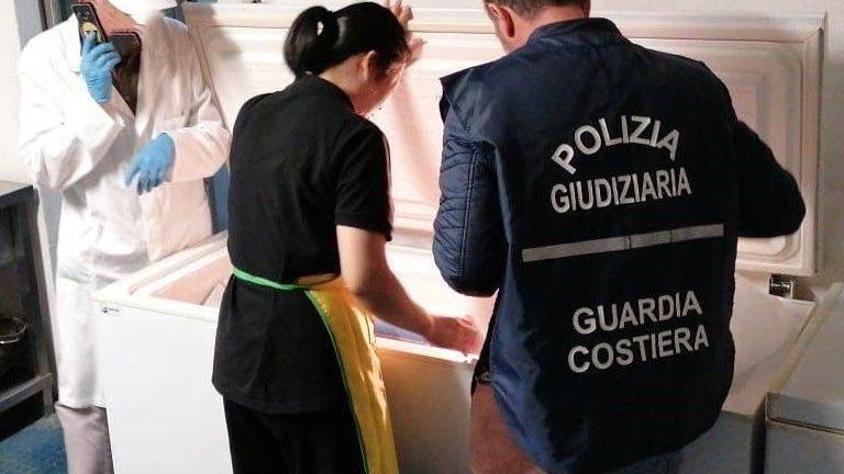 Pesce congelato spacciato per fresco al ristorante e vongole fantasma: multe a raffica lungo la costa romagnola Pesce congelato spacciato per fresco al ristorante e vongole fantasma: multe a raffica lungo la costa romagnola
