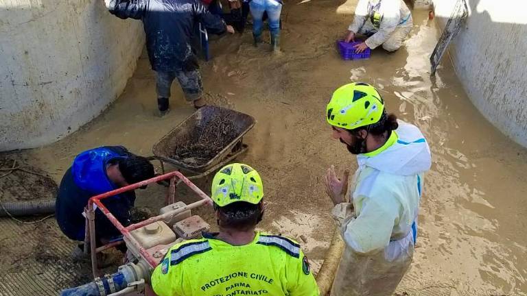 Maltempo Marche, nuovi volontari della Protezione civile dell'Emilia-Romagna nei territori colpiti Maltempo Marche, nuovi volontari della Protezione civile dell'Emilia-Romagna nei territori colpiti