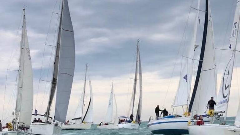 Vela, a Cattolica trionfa Lupamaro, premio speciale a Lo Re Vela, a Cattolica trionfa Lupamaro, premio speciale a Lo Re