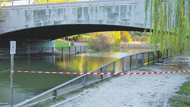 Rimini, Parco della Cava: il laghetto tracima. «Sottopasso bloccato per settimane» Rimini, Parco della Cava: il laghetto tracima. «Sottopasso bloccato per settimane»