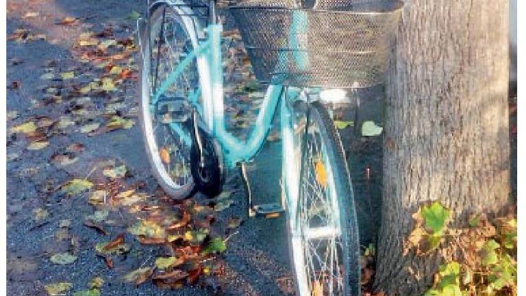 Rubano bici al figlio autistico, trovata dopo appello della madre Rubano bici al figlio autistico, trovata dopo appello della madre