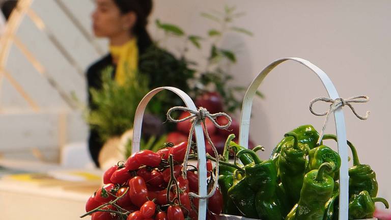Il Macfrut esalta le potenzialità dell'Africa nel campo dell'ortofrutta Il Macfrut esalta le potenzialità dell'Africa nel campo dell'ortofrutta