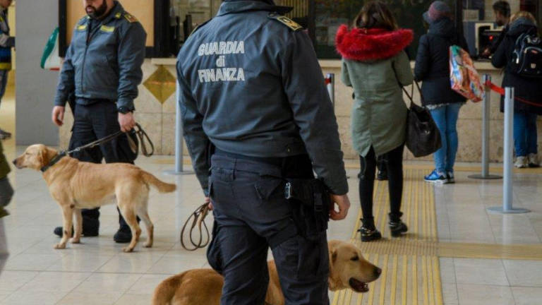 Pusher fermato in stazione a Ravenna grazie al fiuto di Bac Pusher fermato in stazione a Ravenna grazie al fiuto di Bac