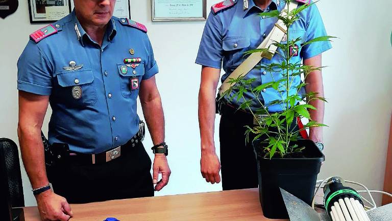 Bancario 47enne arrestato a Bellaria Igea Marina con 40 grammi di coca Bancario 47enne arrestato a Bellaria Igea Marina con 40 grammi di coca